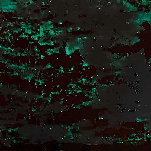 Organic Born System (Novopol & Edgar Blanck) - Enchantement, Pt. 1 EP