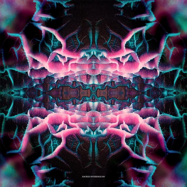 Confused By What Is Real