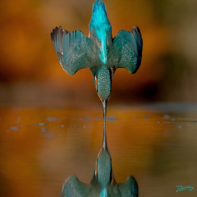 Highdive - Schacke Remix