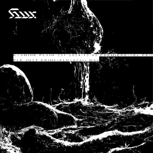 Premiere: People just drink (FLUX021)