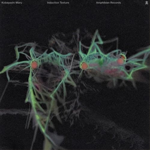 Induction Texture (A Strange Wedding Side Quest Remix)