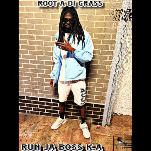 ROOT A DI GRASS
