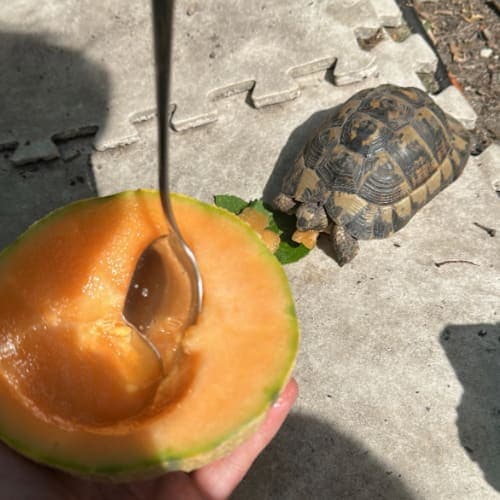 Sevenbeatz - 10 Septembre 2025