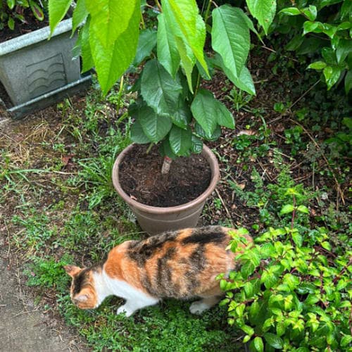 Sevenbeatz - 11 Juin 2025